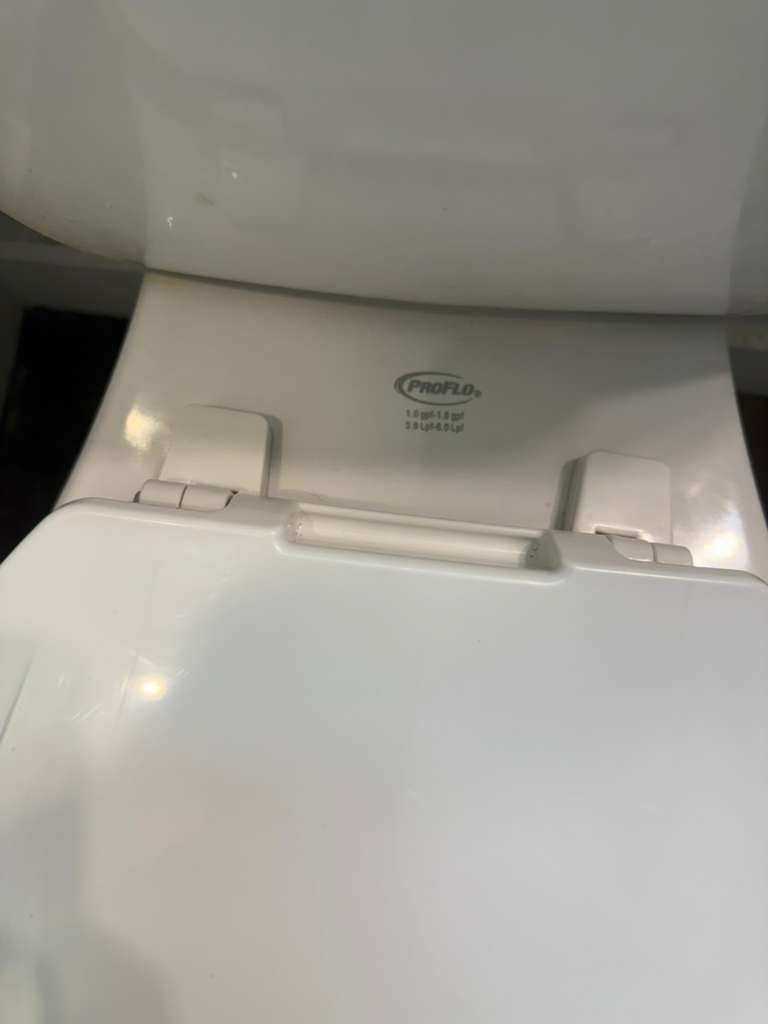 WhatsApp Image 2026-02-04 at 7.05.39 PM (1)