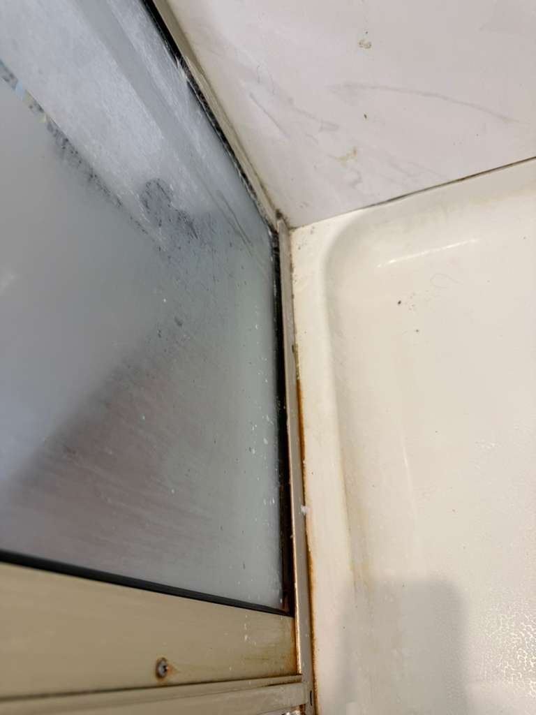 WhatsApp Image 2026-02-04 at 7.05.39 PM (9)