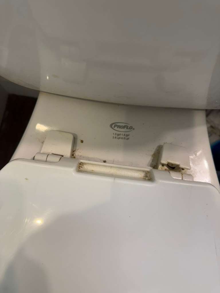 WhatsApp Image 2026-02-04 at 7.05.39 PM