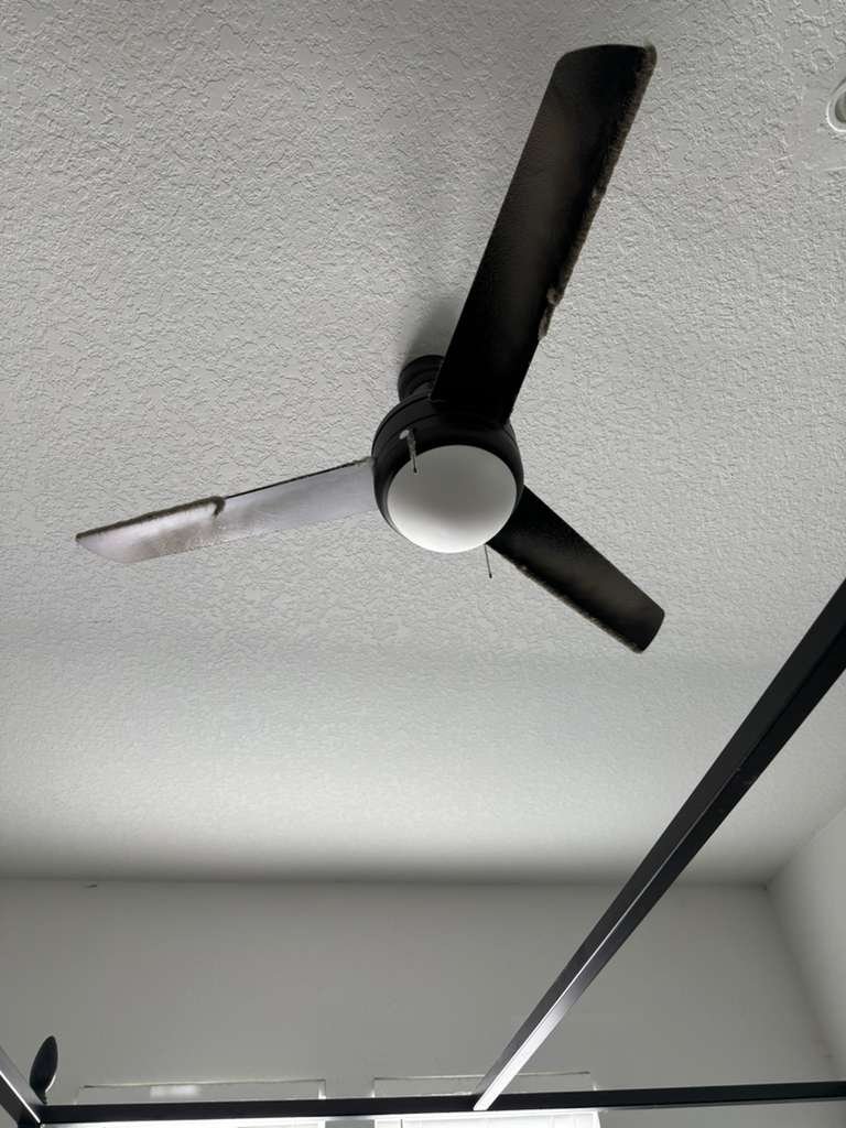 WhatsApp Image 2026-02-04 at 7.05.40 PM